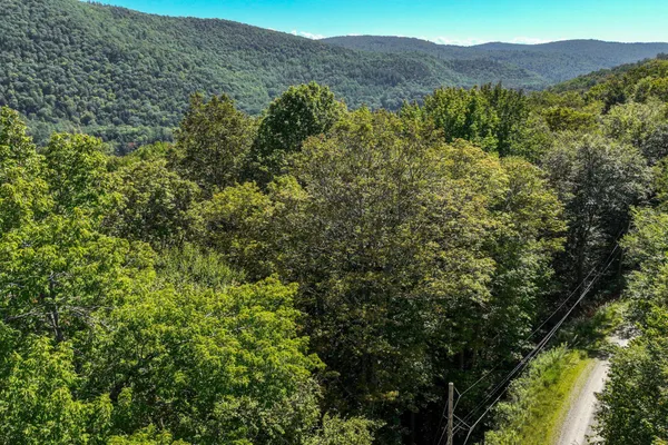 $49,000 | 1-61 Hawk Spur Road, Unit 161, Plymouth, VT 05056