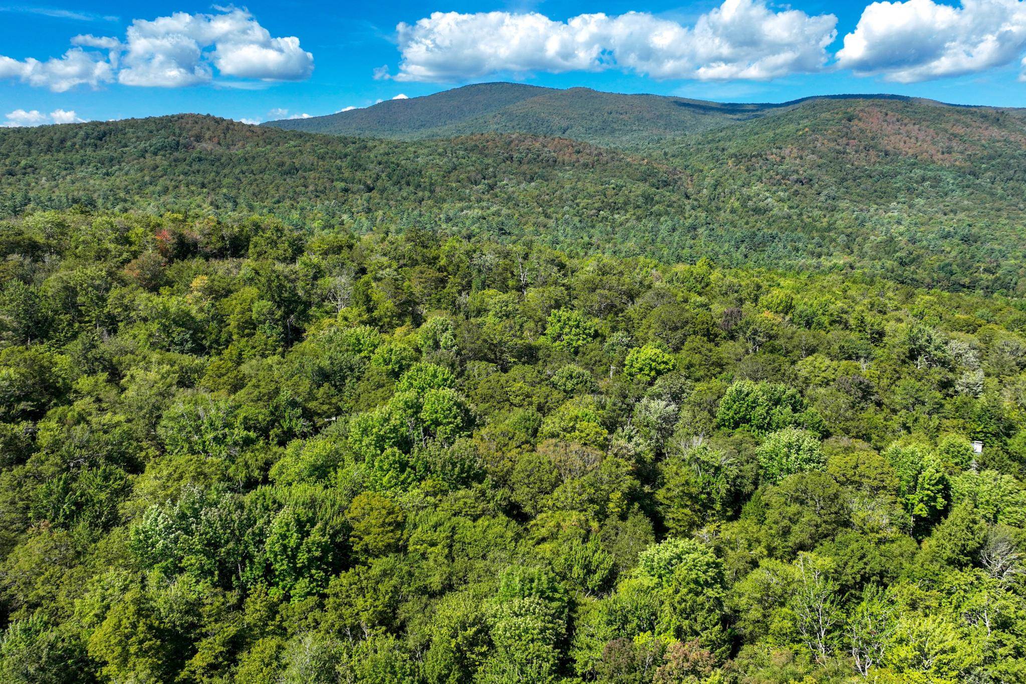 1-61 Hawk Spur Road, Unit 161 Plymouth, VT 05056 - Photo 8 of 17