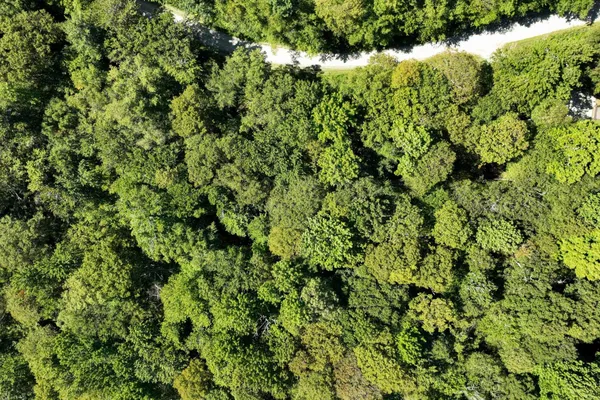 $49,000 | 1-61 Hawk Spur Road, Unit 161, Plymouth, VT 05056