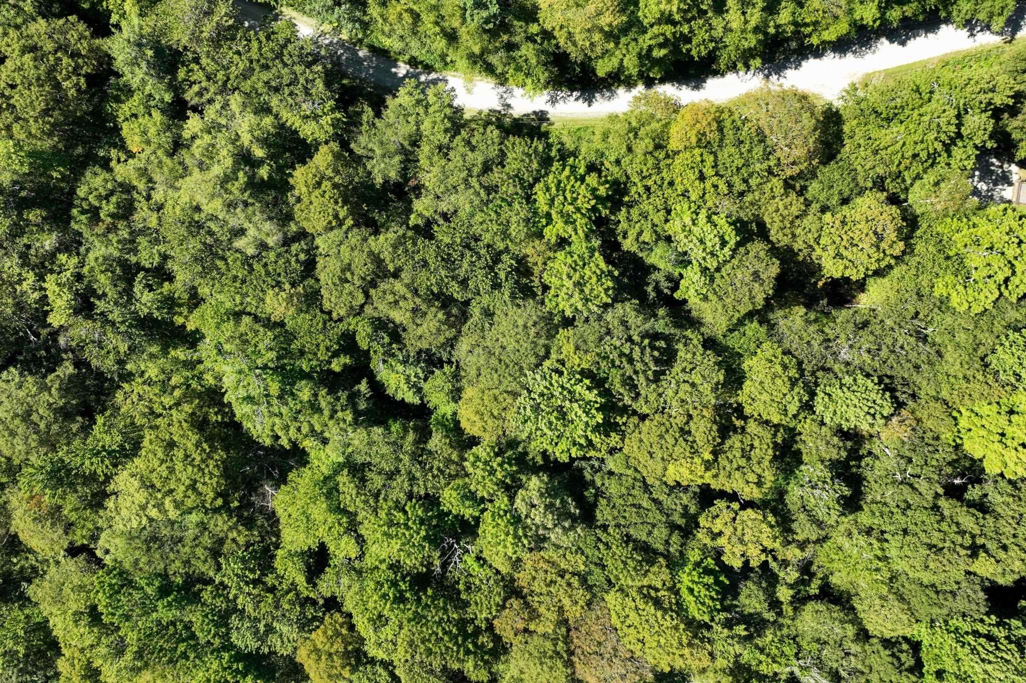 1-61 Hawk Spur Road, Unit 161 Plymouth, VT 05056 - Photo 9 of 17