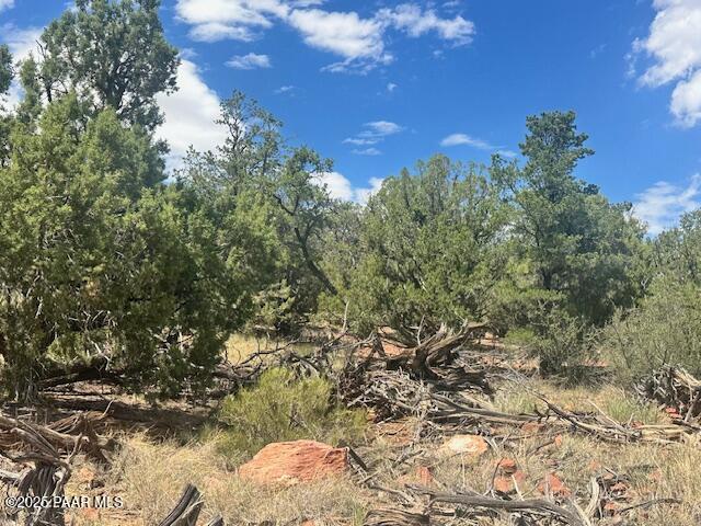 1020 Duffis Bluff Road Seligman, AZ 86337 - Photo 18 of 18 IMG_9669