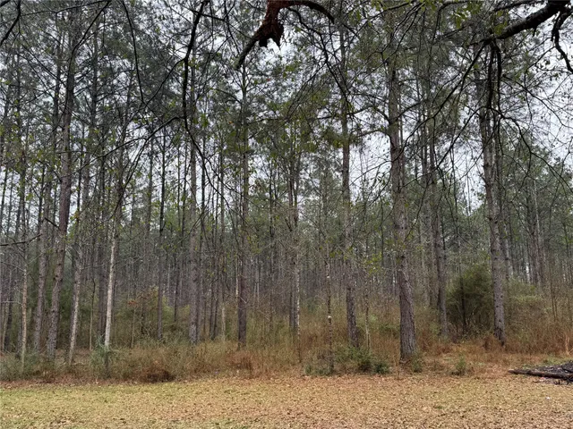 $297,000 | 467 County Road 3035, Newton, TX 75966