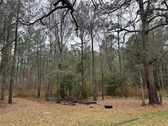 $297,000 | 467 County Road 3035, Newton, TX 75966