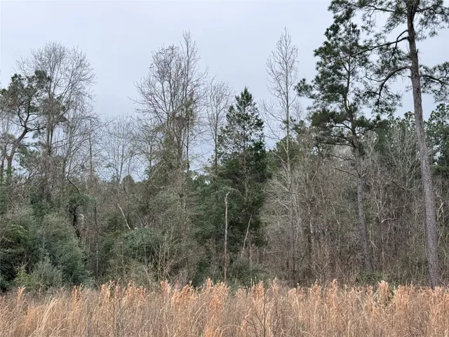 $297,000 | 467 County Road 3035, Newton, TX 75966