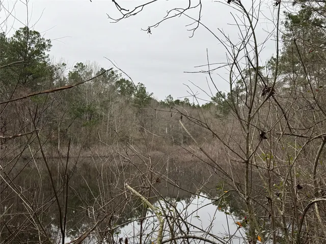 $297,000 | 467 County Road 3035, Newton, TX 75966