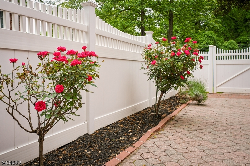 106 Division Avenue Summit, NJ 07901 - Photo 31 of 38 a flower plants in front of a white building