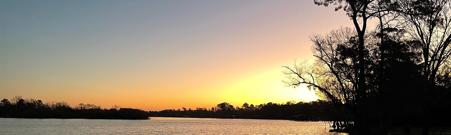 20302 Water Point Trail Humble, TX 77346 - Photo 30 of 30 Lake area near by