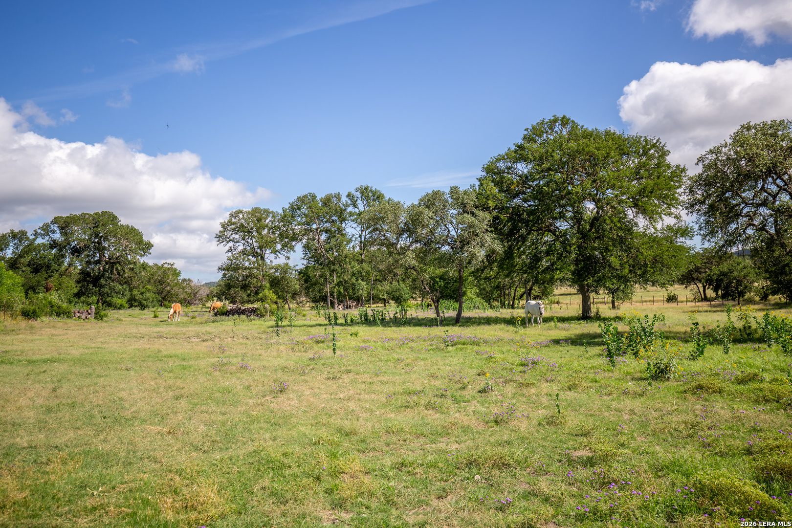 395 Bluff Creek Road North Center Point, TX 78010 - Photo 48 of 55 Gallery Image 48