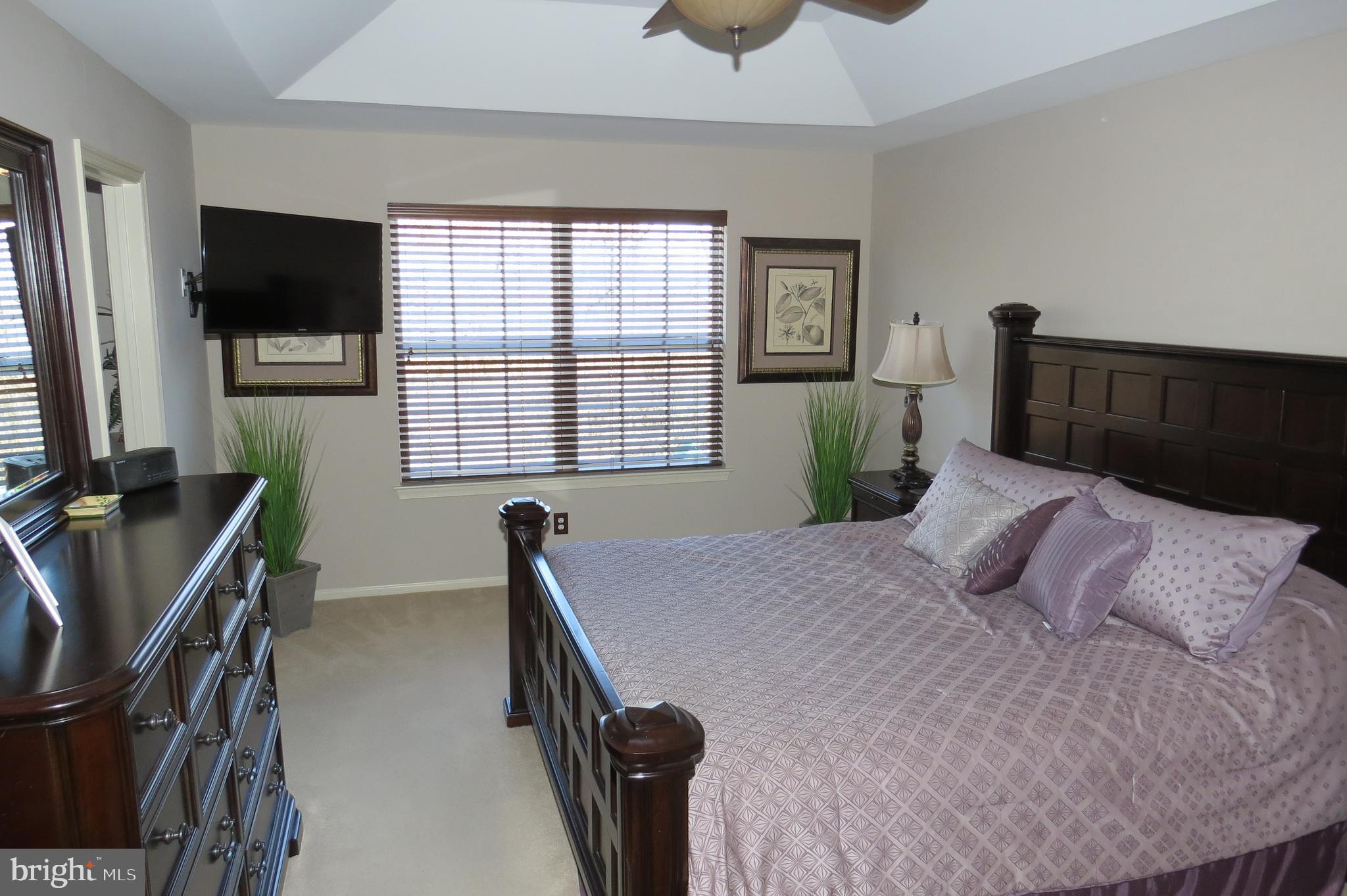 93 Oak Ridge Drive Mount Royal, NJ 08061 - Photo 16 of 36 Luxury Master Suite w/Tray Ceiling