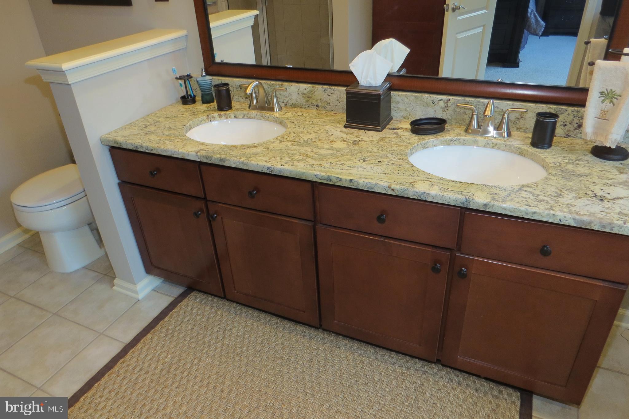 93 Oak Ridge Drive Mount Royal, NJ 08061 - Photo 20 of 36 Granite Double Vanity