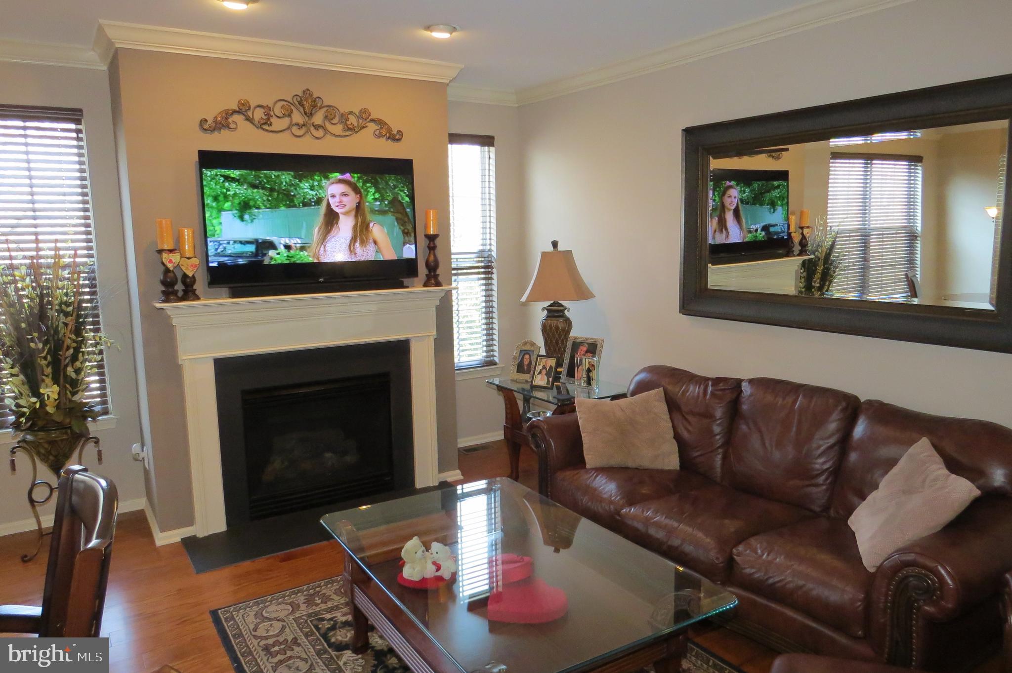 93 Oak Ridge Drive Mount Royal, NJ 08061 - Photo 3 of 36 Stylish Family Room with cozy Gas-log Fireplace