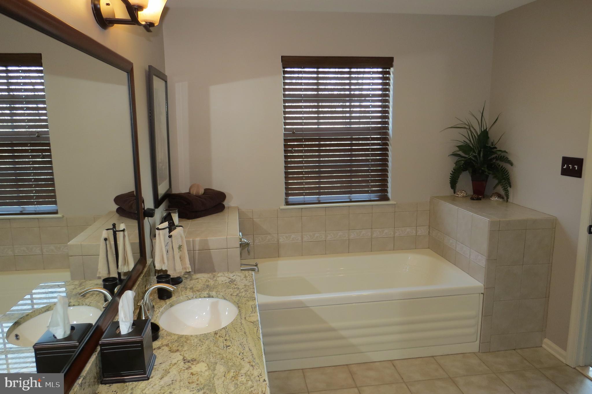 93 Oak Ridge Drive Mount Royal, NJ 08061 - Photo 21 of 36 Relax in the Soaking/Garden Tub