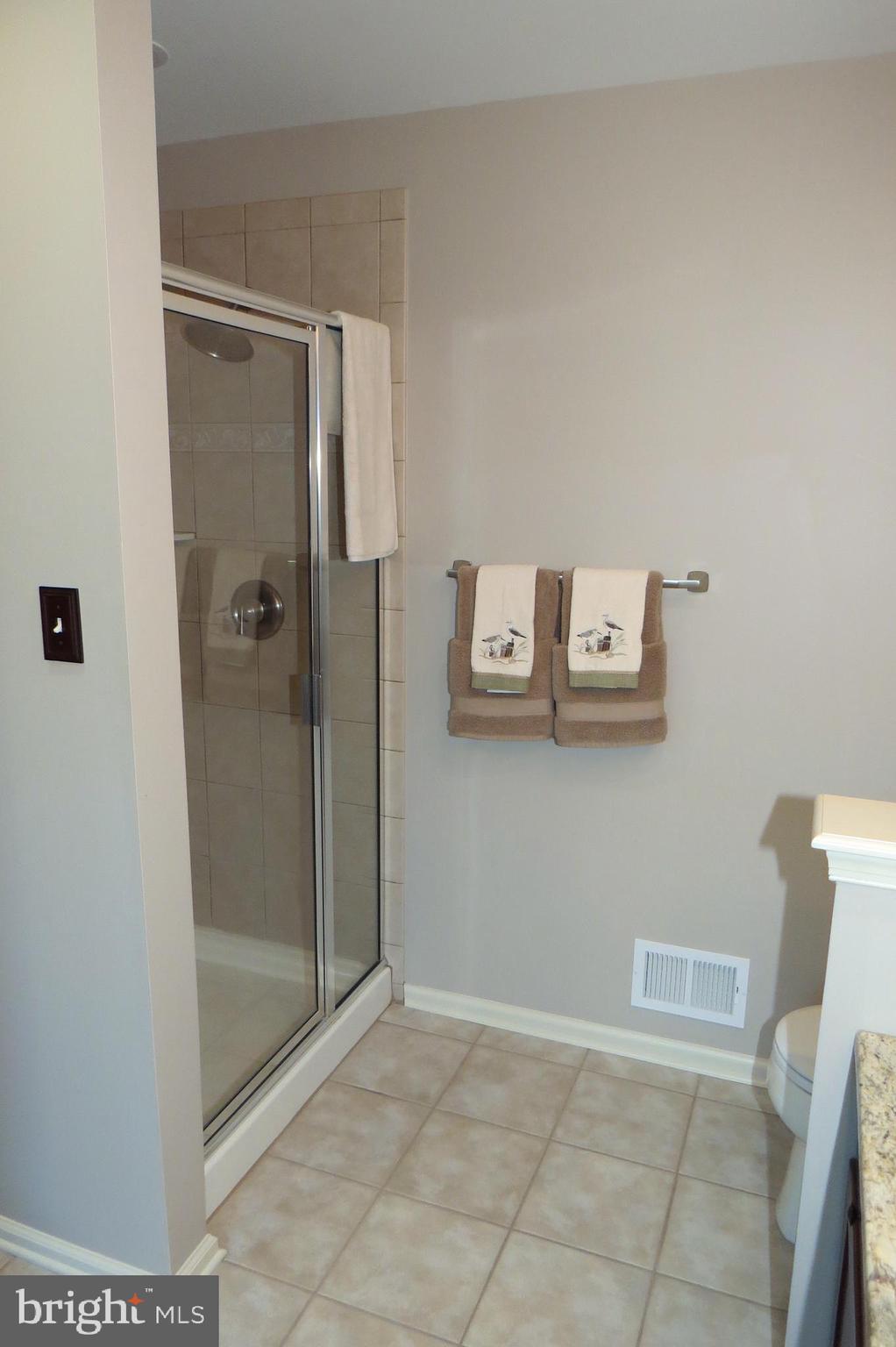 93 Oak Ridge Drive Mount Royal, NJ 08061 - Photo 22 of 36 Master Bath Shower Stall