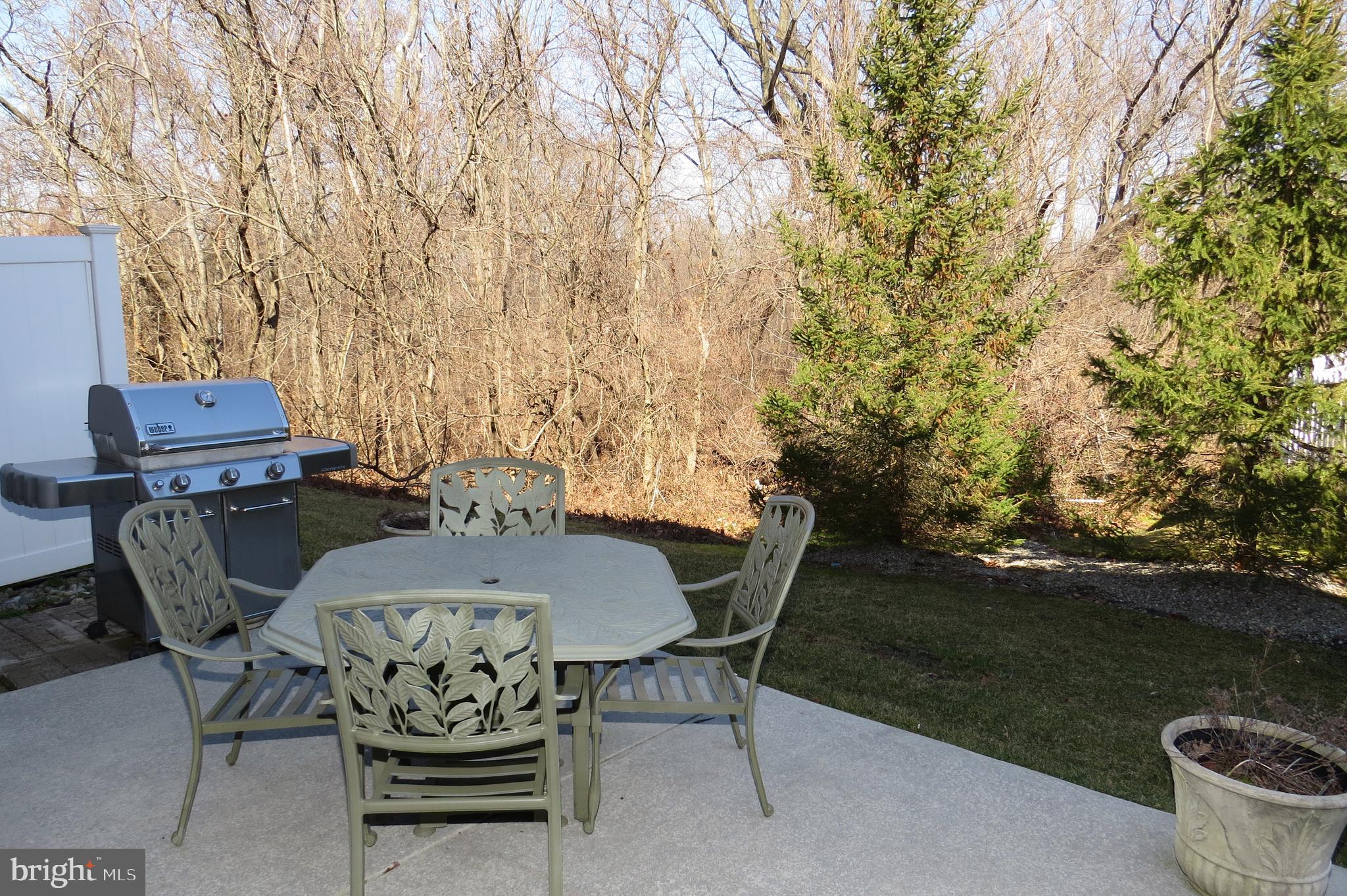 93 Oak Ridge Drive Mount Royal, NJ 08061 - Photo 30 of 36 Scenic & Private Patio!