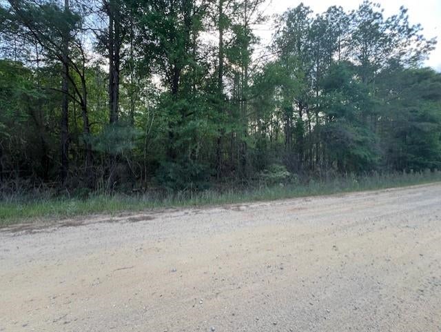 Oakey Streak Road Dozier, AL 36028 - Photo 4 of 9 Gallery Image 4