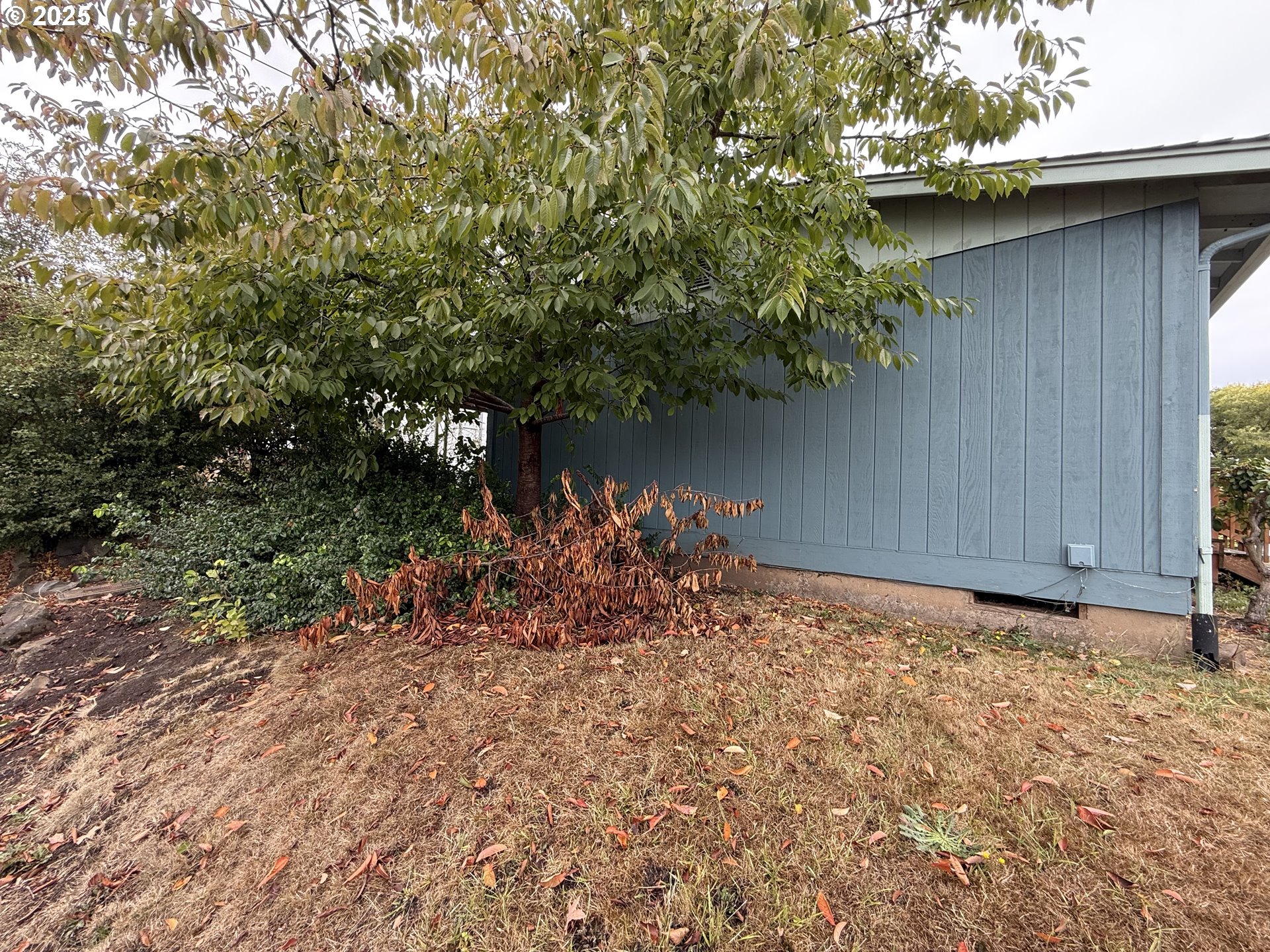 504 Lord Street Kelso, WA 98626 - Photo 37 of 37