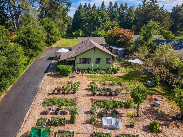 a aerial view of a house with a yard and plants