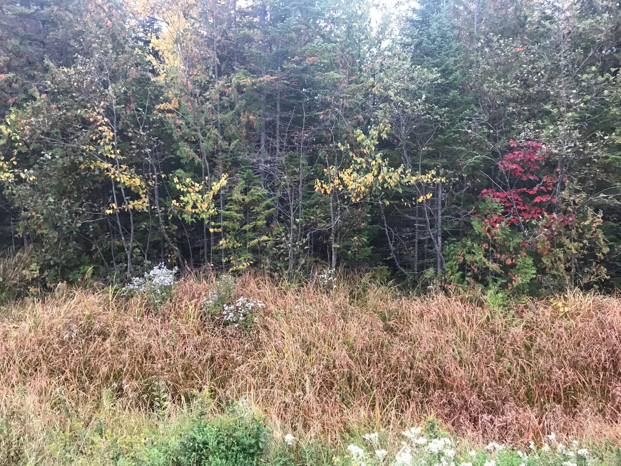 142 Greenville Road Shirley Mills, ME 04485 - Photo 3 of 5 20190924011030065924000000-o
