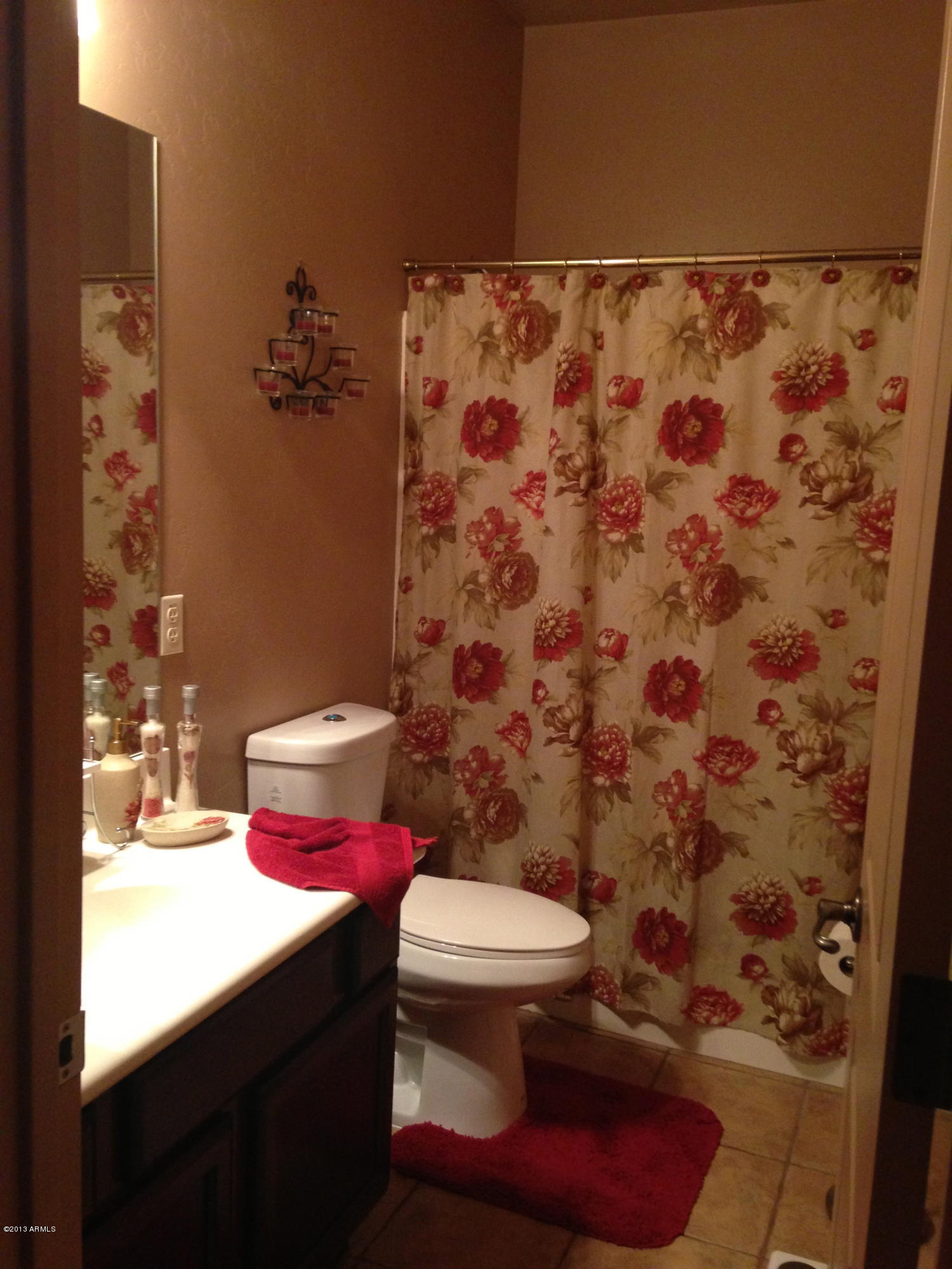728 East Carson Road Phoenix, AZ 85042 - Photo 13 of 14 Guest Bath