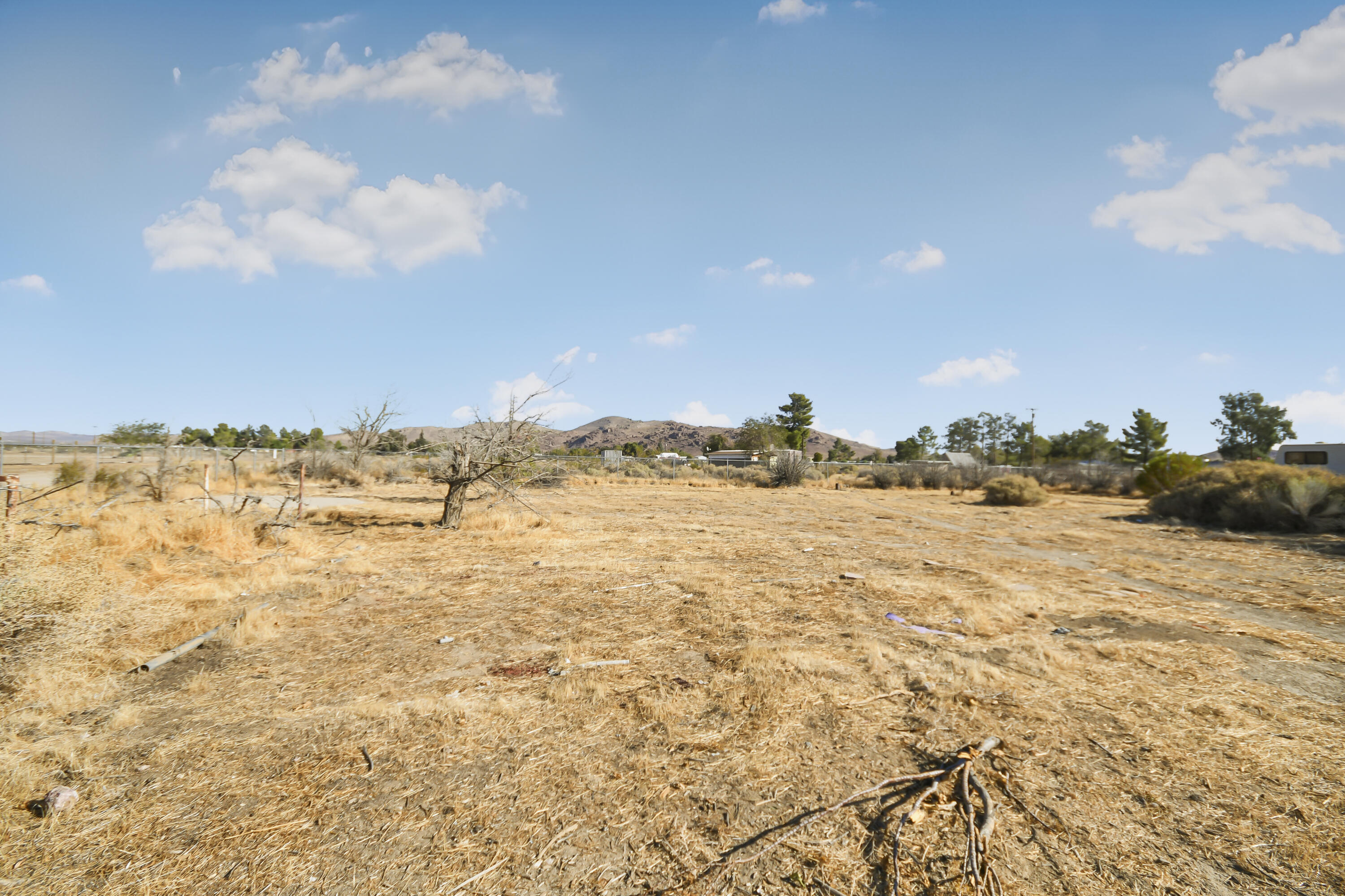 6359 Sweetser Road Rosamond, CA 93560 - Photo 18 of 23 DSC_3512