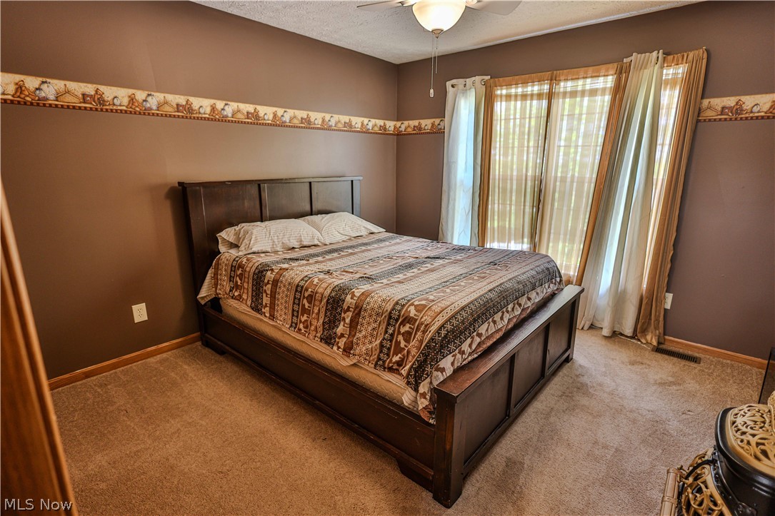 11154 Johnsford Road Southwest Beach City, OH 44608 - Photo 40 of 50 Bedroom featuring wall-to-wall carpeting, brown painted walls, and a decorative border