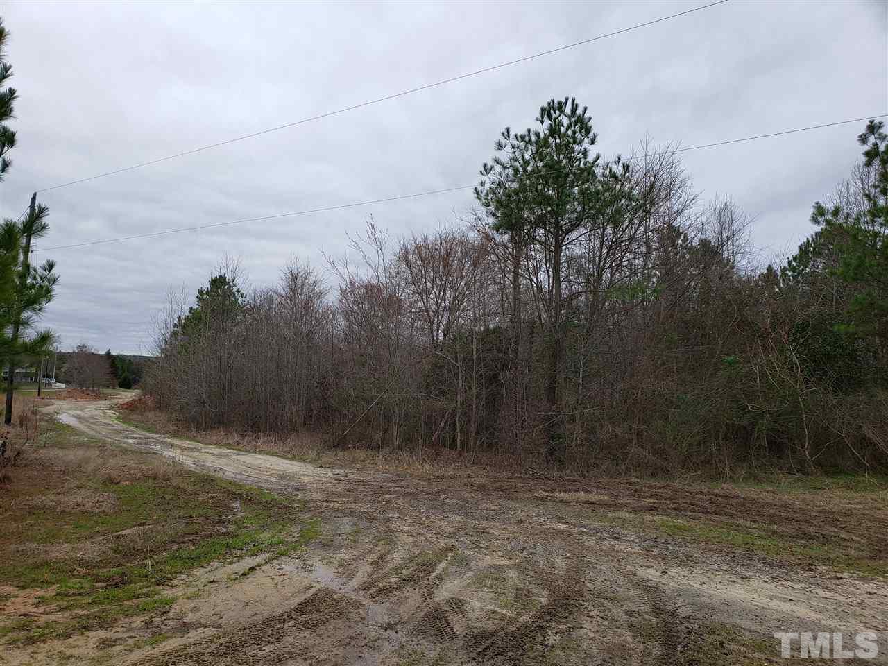 a view of a yard