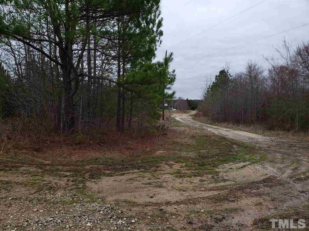 3101 Walters Road Creedmoor, NC 27522 - Photo 3 of 6 a view of a yard with plants and trees
