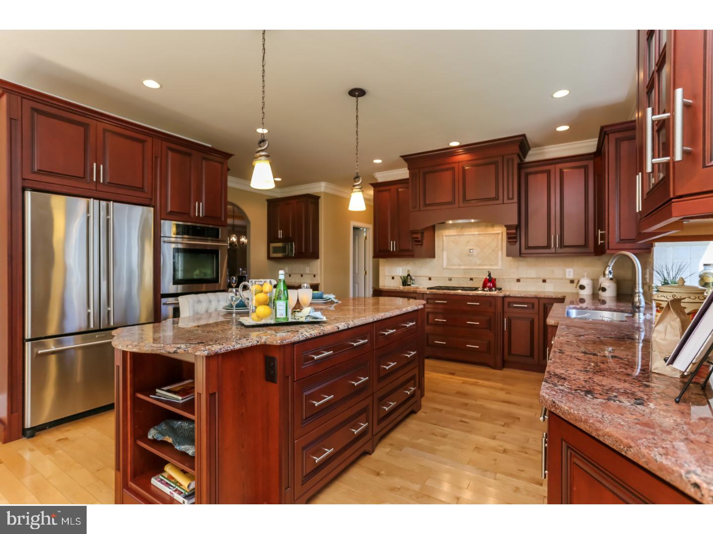 433 Mattrissa Ridge Media, PA 19063 - Photo 6 of 25 Kitchen