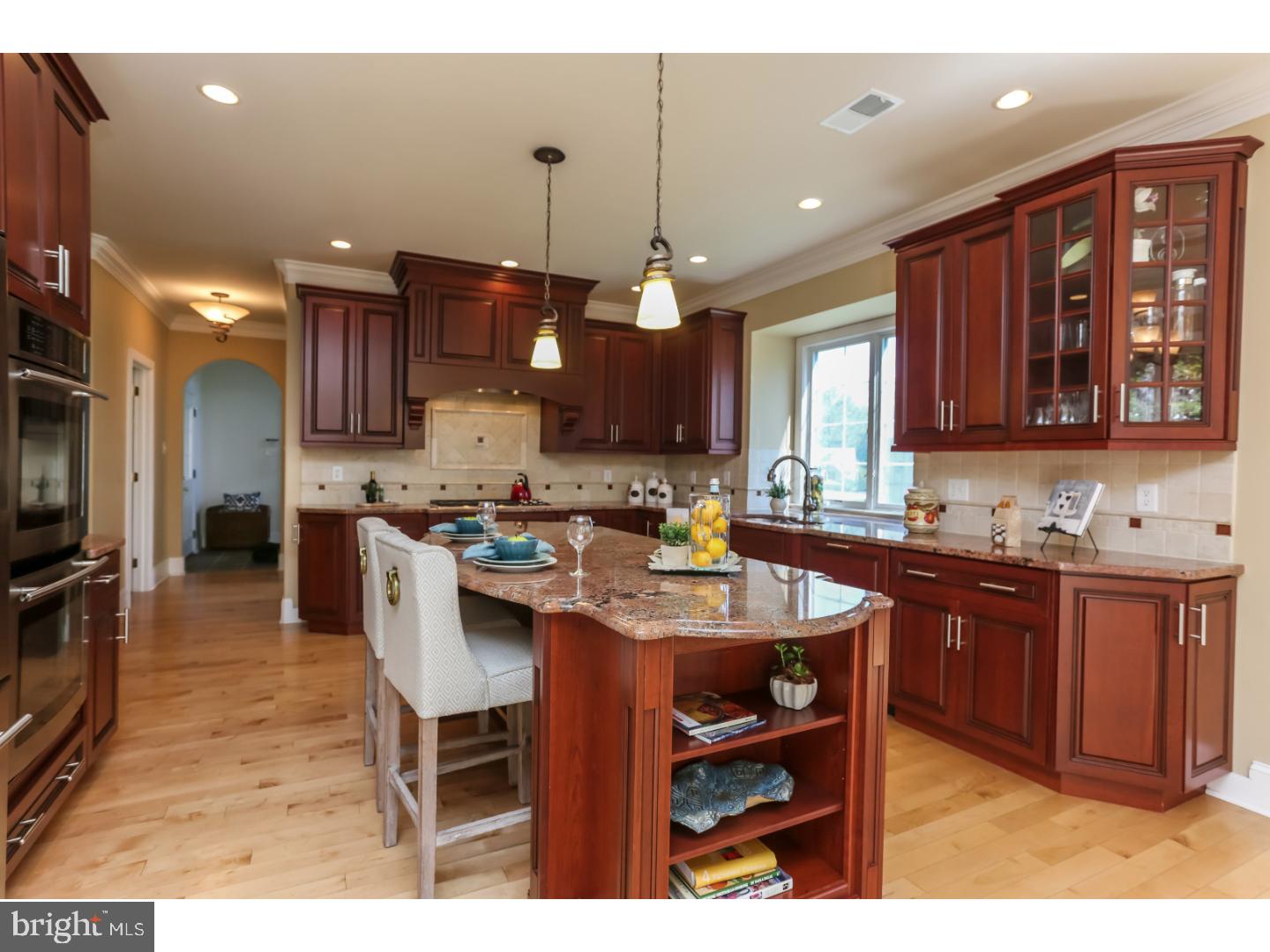 433 Mattrissa Ridge Media, PA 19063 - Photo 7 of 25 Kitchen