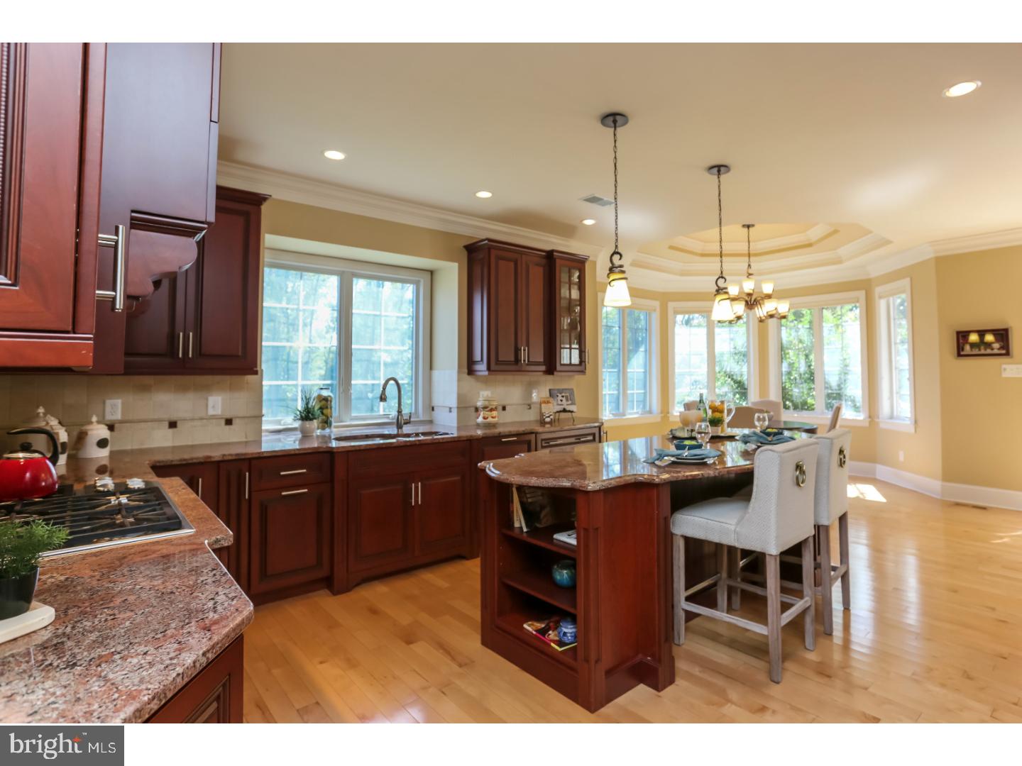 433 Mattrissa Ridge Media, PA 19063 - Photo 8 of 25 Kitchen