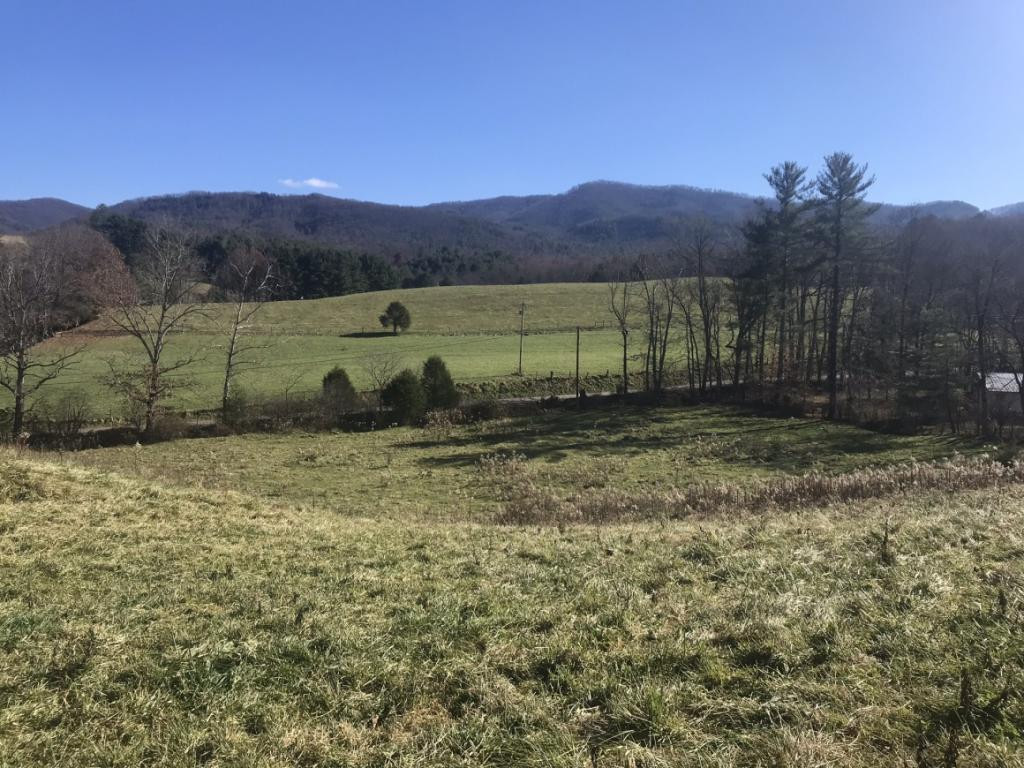 Tbd Robe Shull Road Mountain City, TN 37683 - Photo 1 of 6 Photo 1
