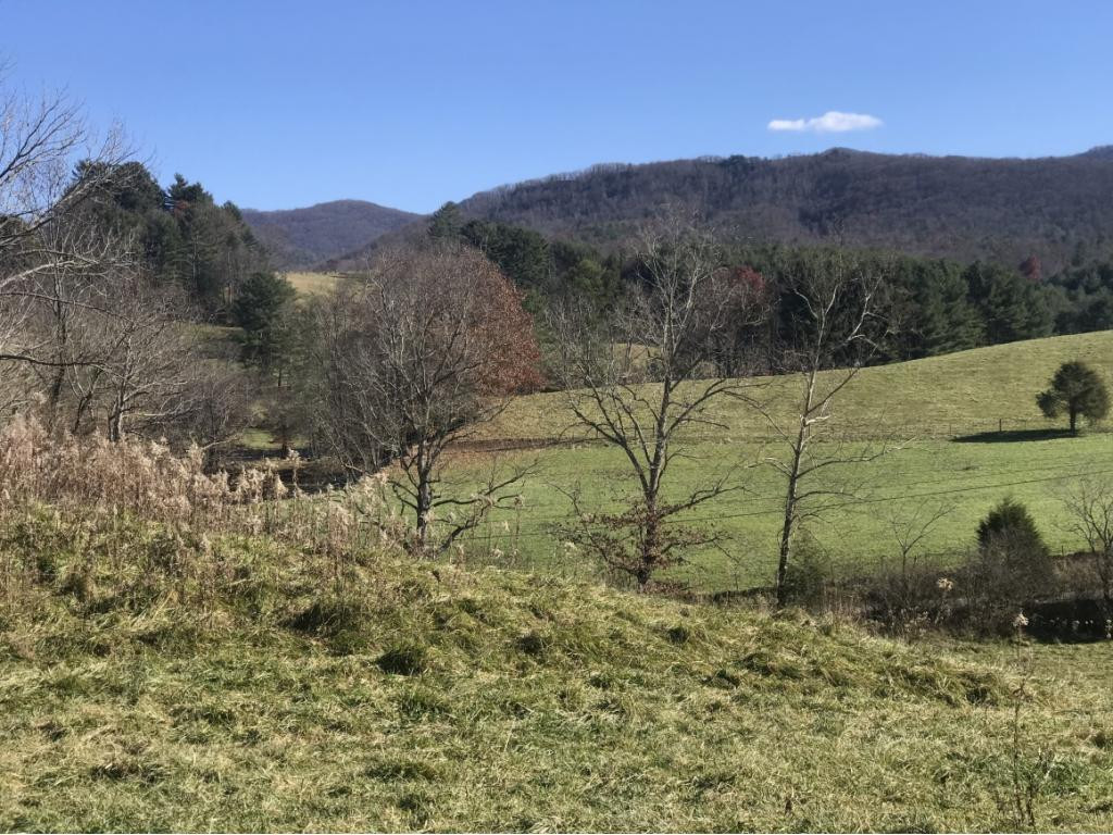 Tbd Robe Shull Road Mountain City, TN 37683 - Photo 2 of 6 Photo 2
