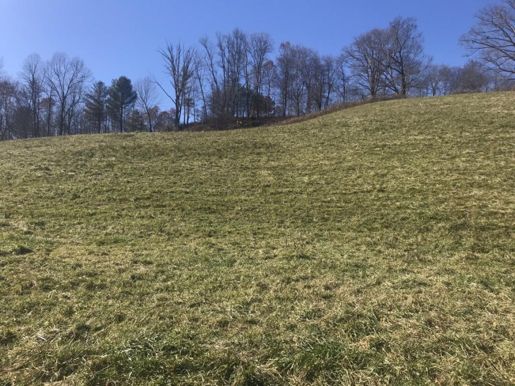 Tbd Robe Shull Road Mountain City, TN 37683 - Photo 5 of 6 Photo 5