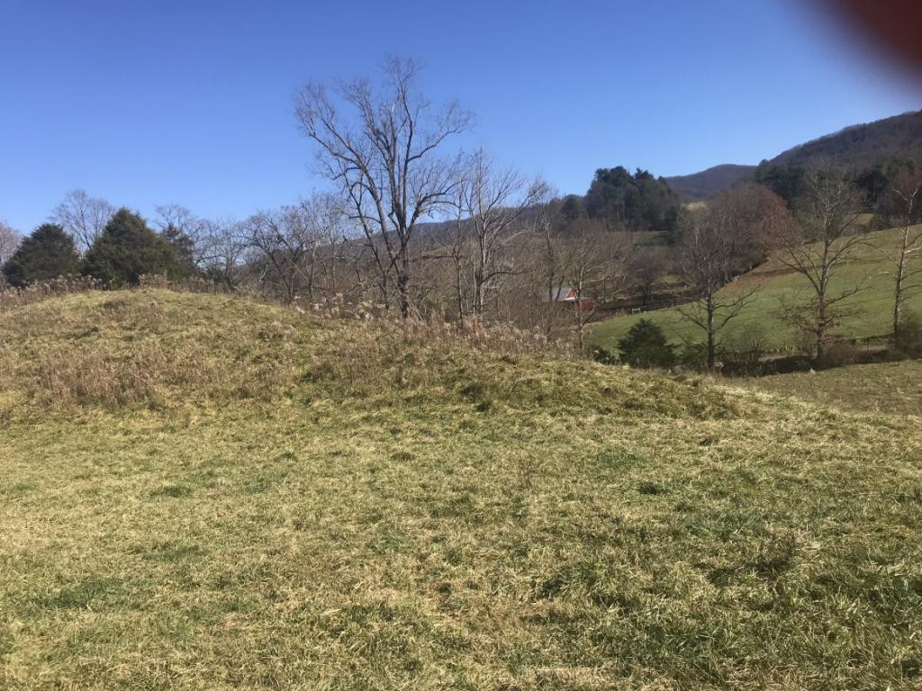 Tbd Robe Shull Road Mountain City, TN 37683 - Photo 6 of 6 Photo 6