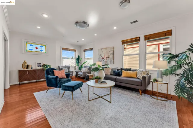 a living room with furniture and a potted plant