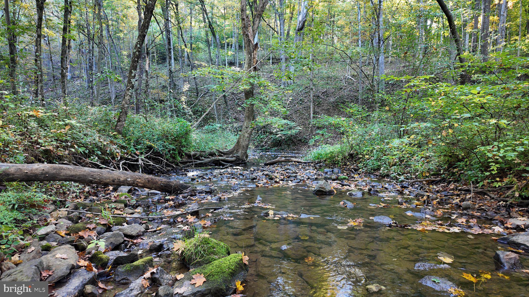 Cold Run Valley Road Berkeley Springs, WV 25411 - Photo 76 of 83 Gallery Image 76