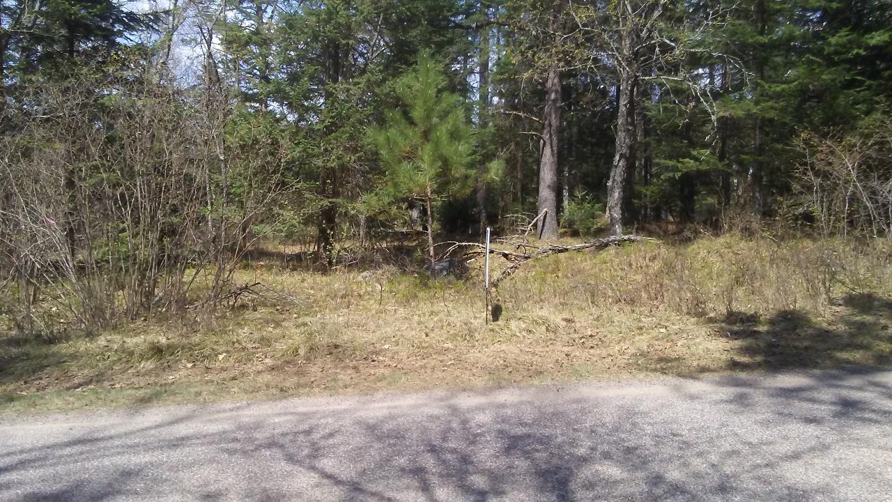 On River Road, Unit LOT 4 Eagle River, WI 54521 - Photo 5 of 9 Gallery Image 5