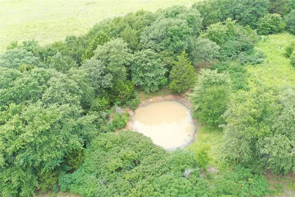 a view of a forest with a sink