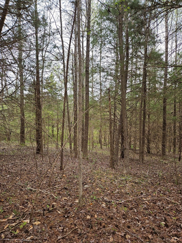 307 10 Holly Farms Road Rice, VA 23966 - Photo 11 of 27 Gallery Image 11