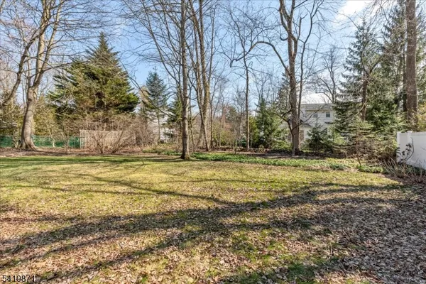 a picture of a black and white photo