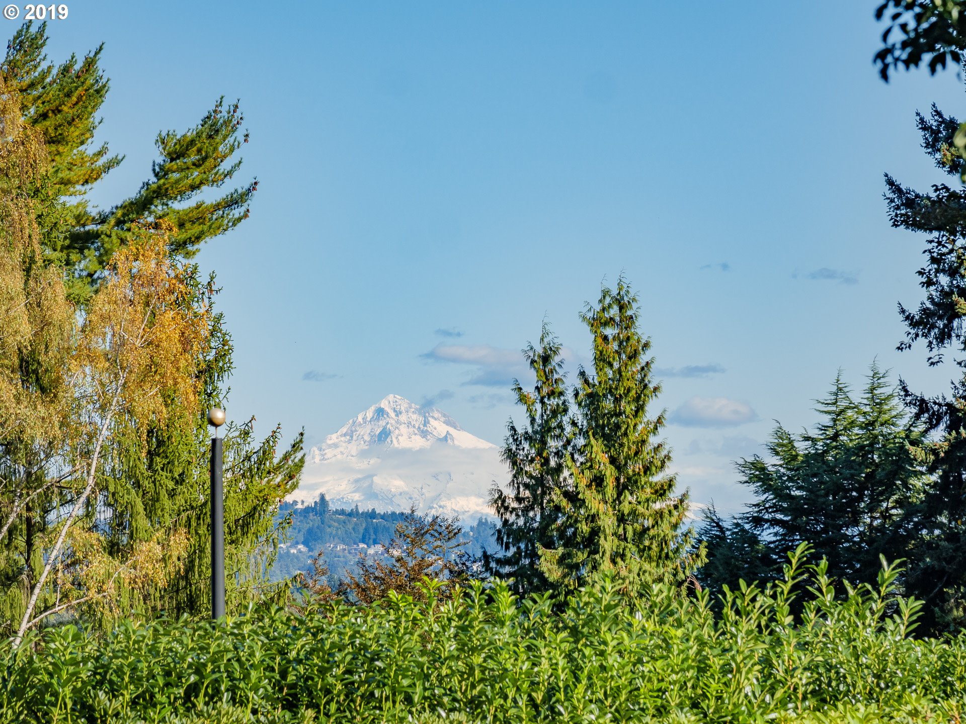 2425 South Military Road Portland, OR 97219 - Photo 4 of 32 Gallery Image 4