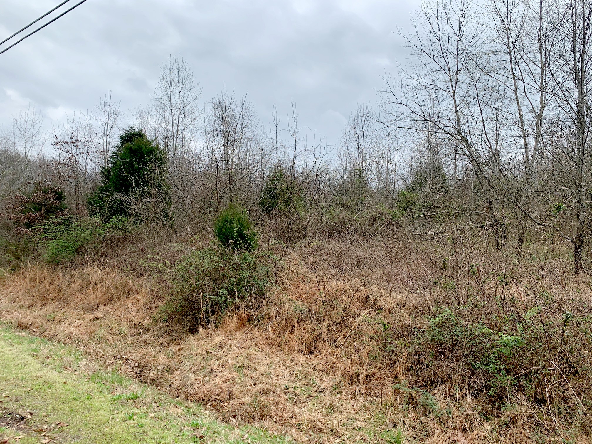 2415 Toler Road Woodlawn, TN 37191 - Photo 1 of 5 Gallery Image 1