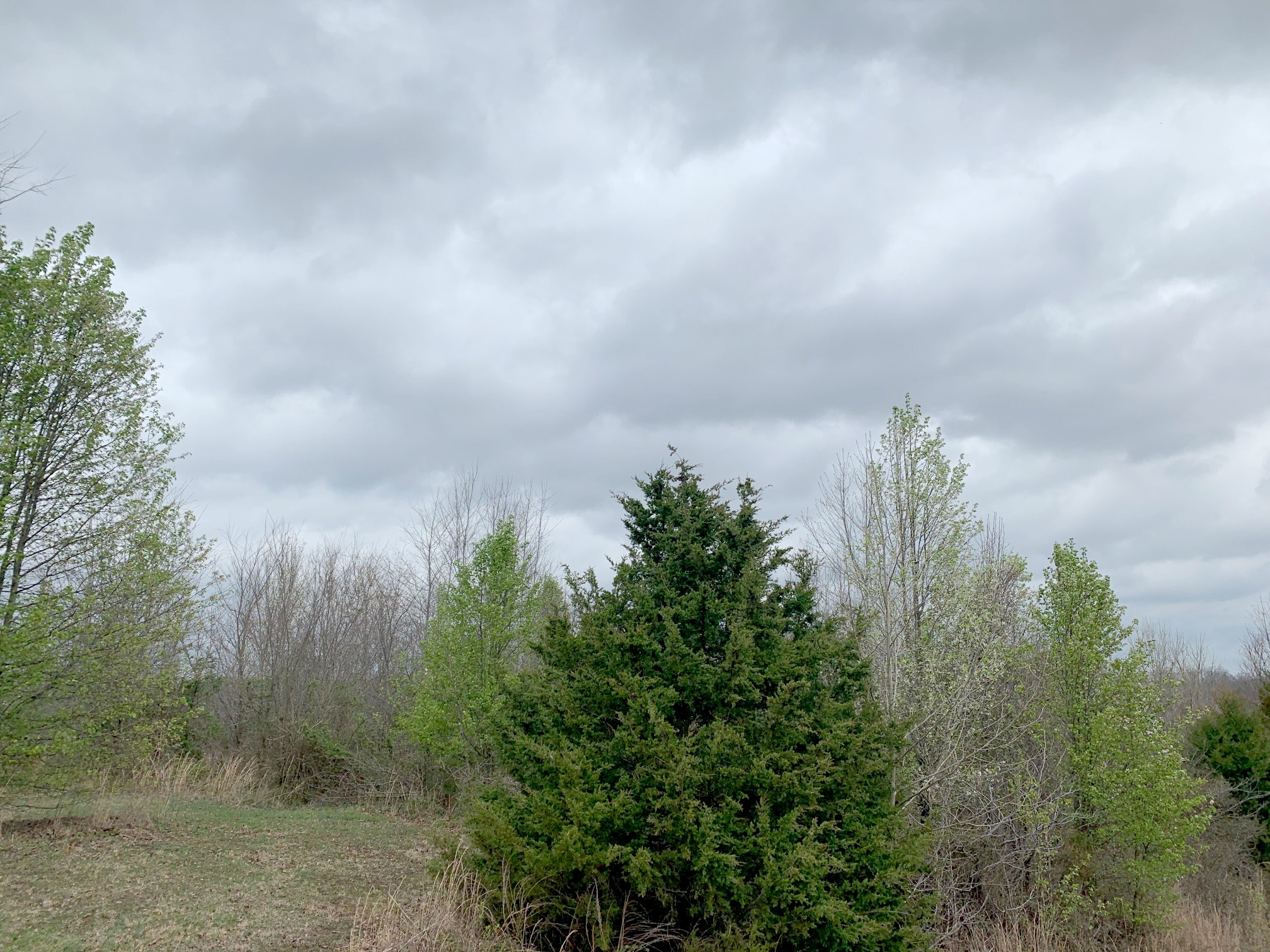 2415 Toler Road Woodlawn, TN 37191 - Photo 2 of 5 Gallery Image 2
