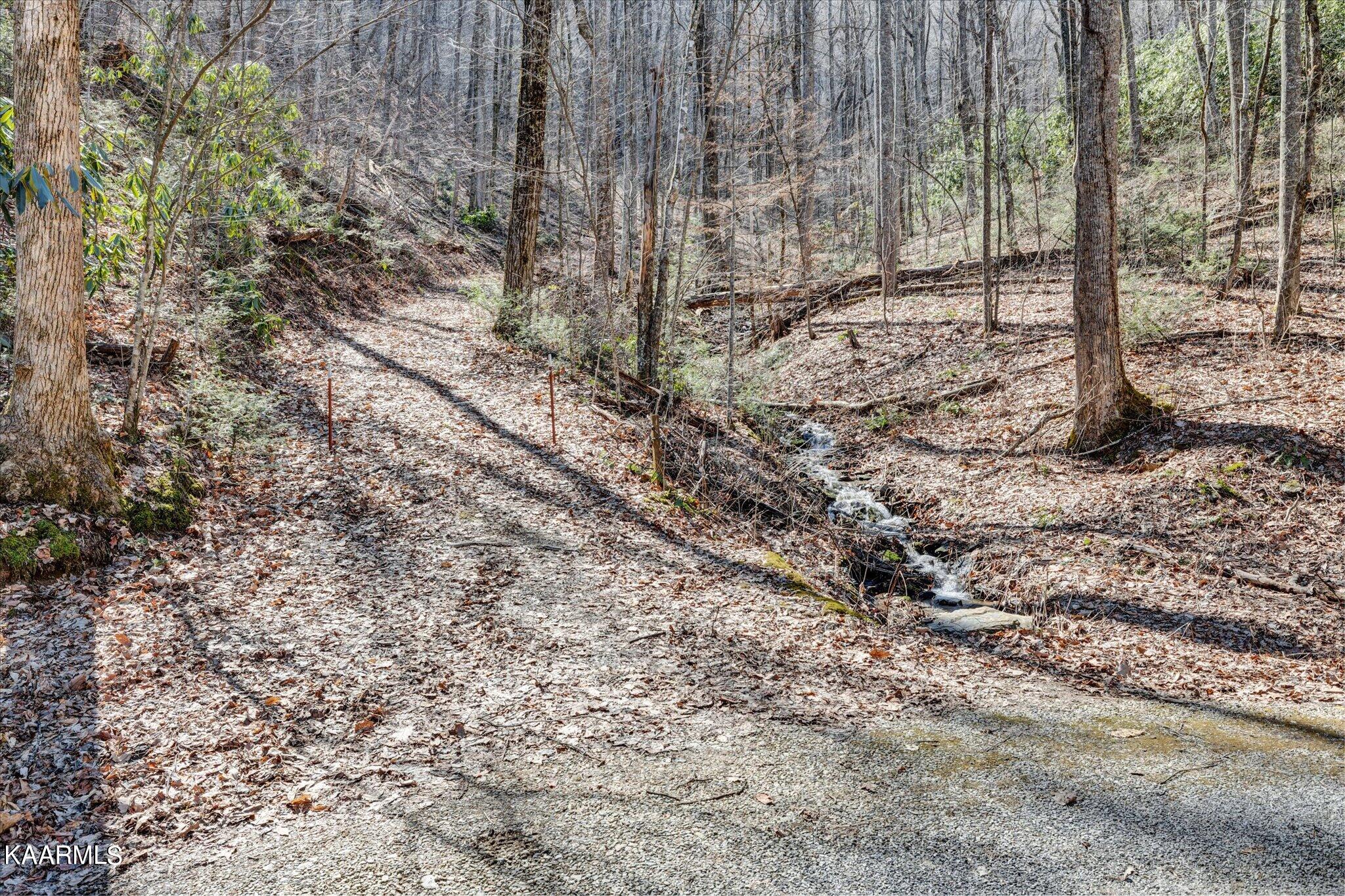 Lot 2 Brooke Hollow Road Sevierville, TN 37862 - Photo 1 of 14 02-IMG_3427