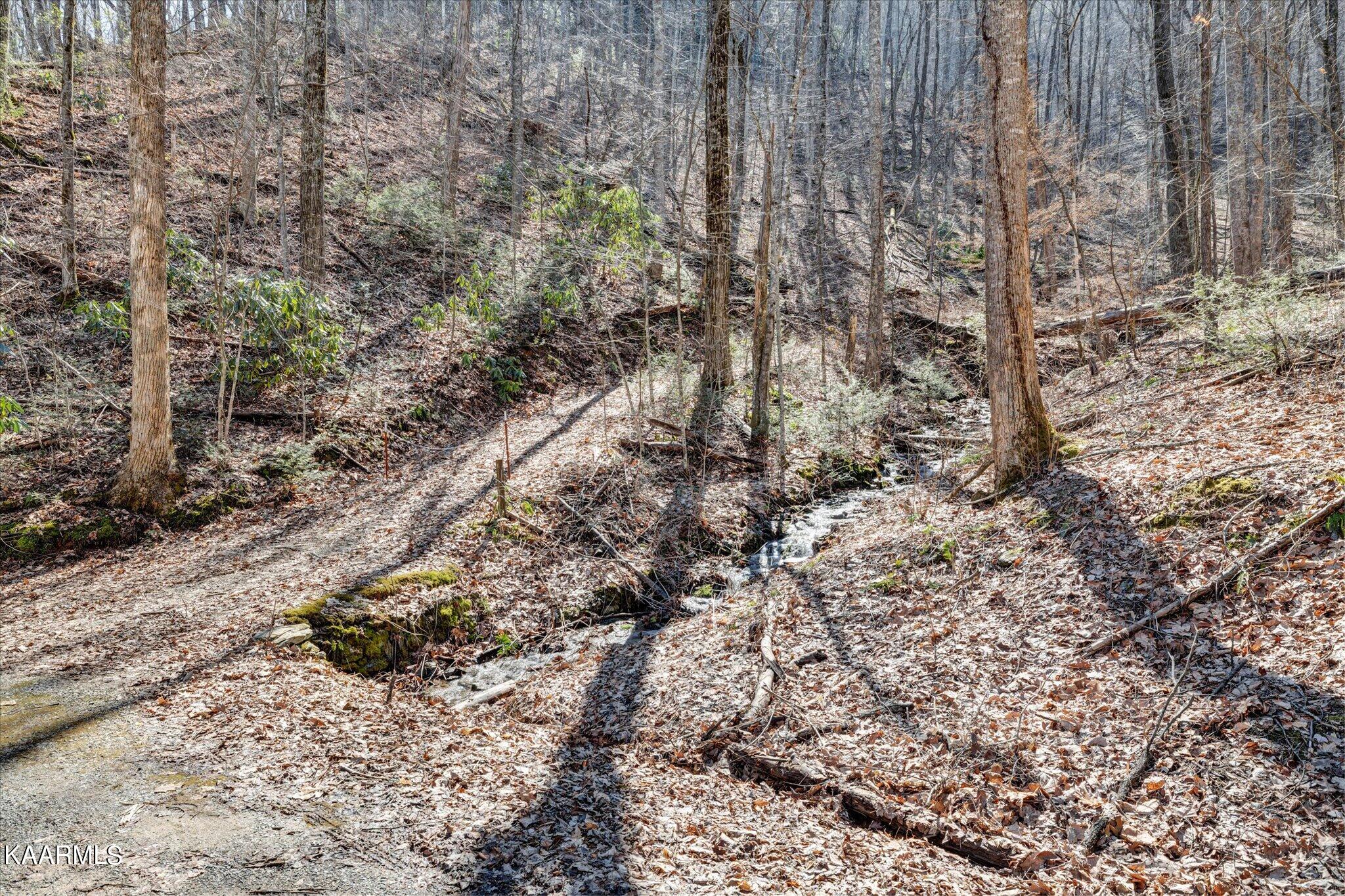Lot 2 Brooke Hollow Road Sevierville, TN 37862 - Photo 2 of 14 01-IMG_3422