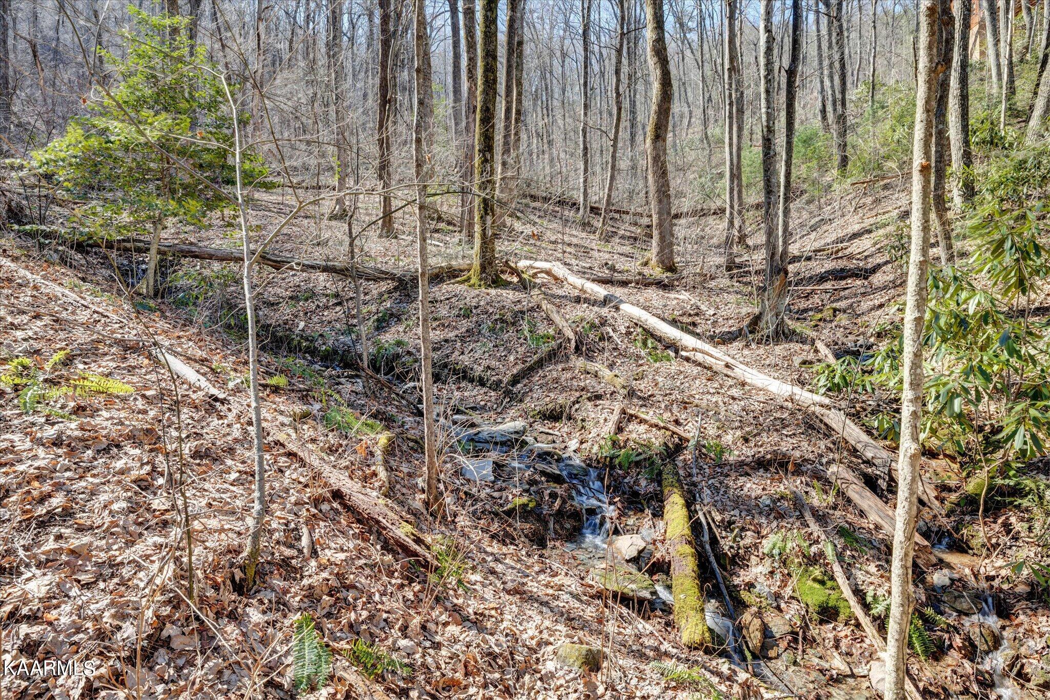 Lot 2 Brooke Hollow Road Sevierville, TN 37862 - Photo 3 of 14 03-IMG_3432