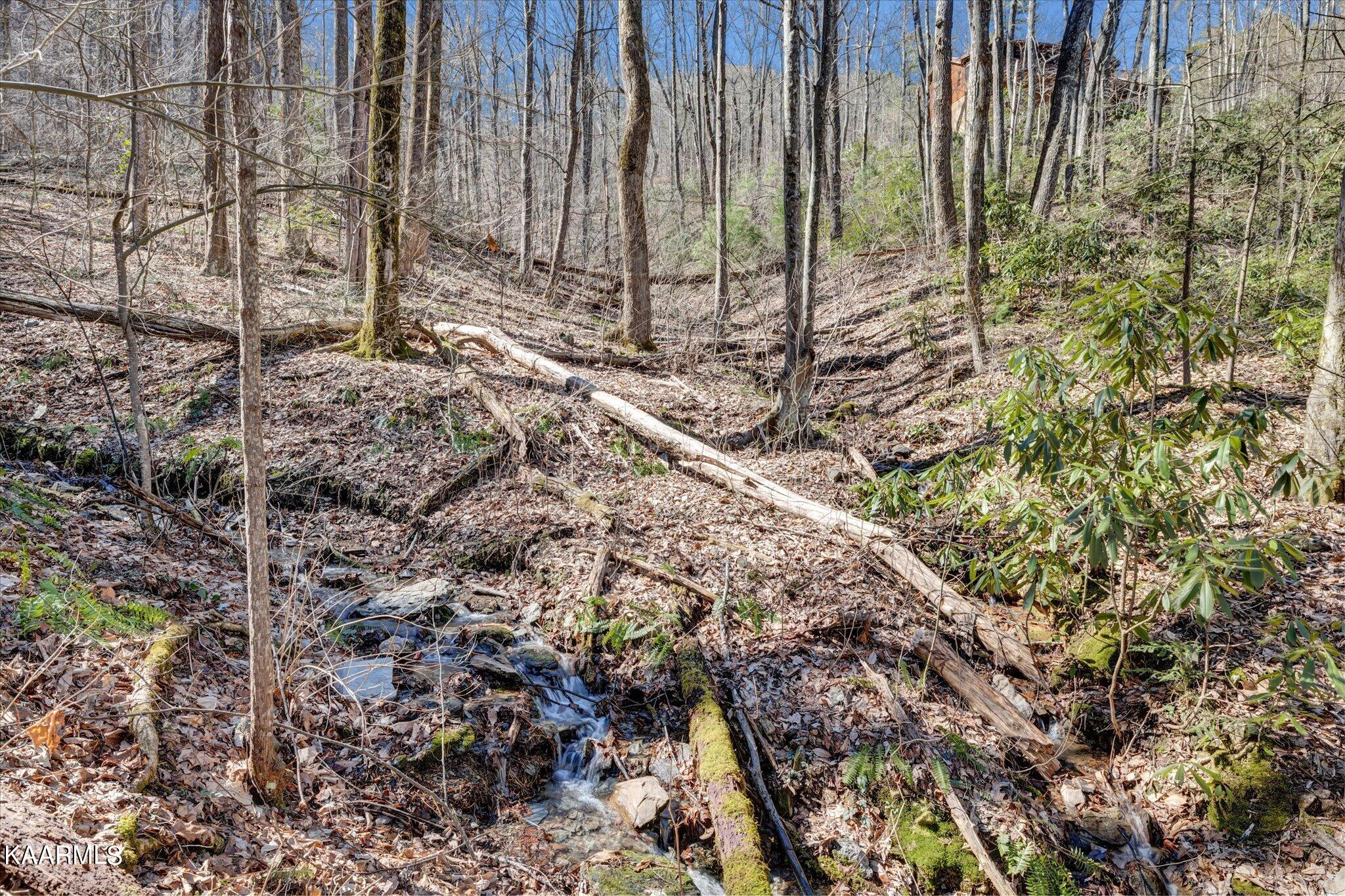 Lot 2 Brooke Hollow Road Sevierville, TN 37862 - Photo 4 of 14 04-IMG_3437
