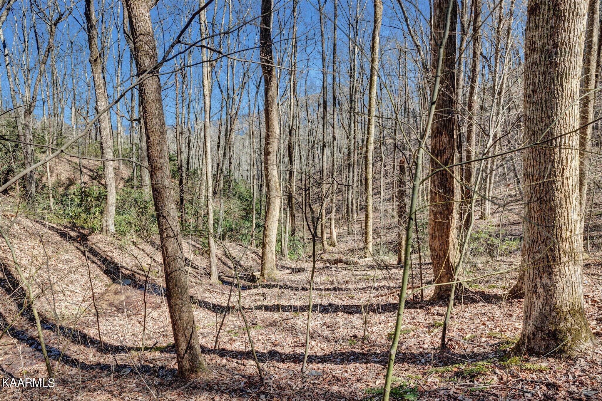 Lot 2 Brooke Hollow Road Sevierville, TN 37862 - Photo 5 of 14 05-IMG_3442