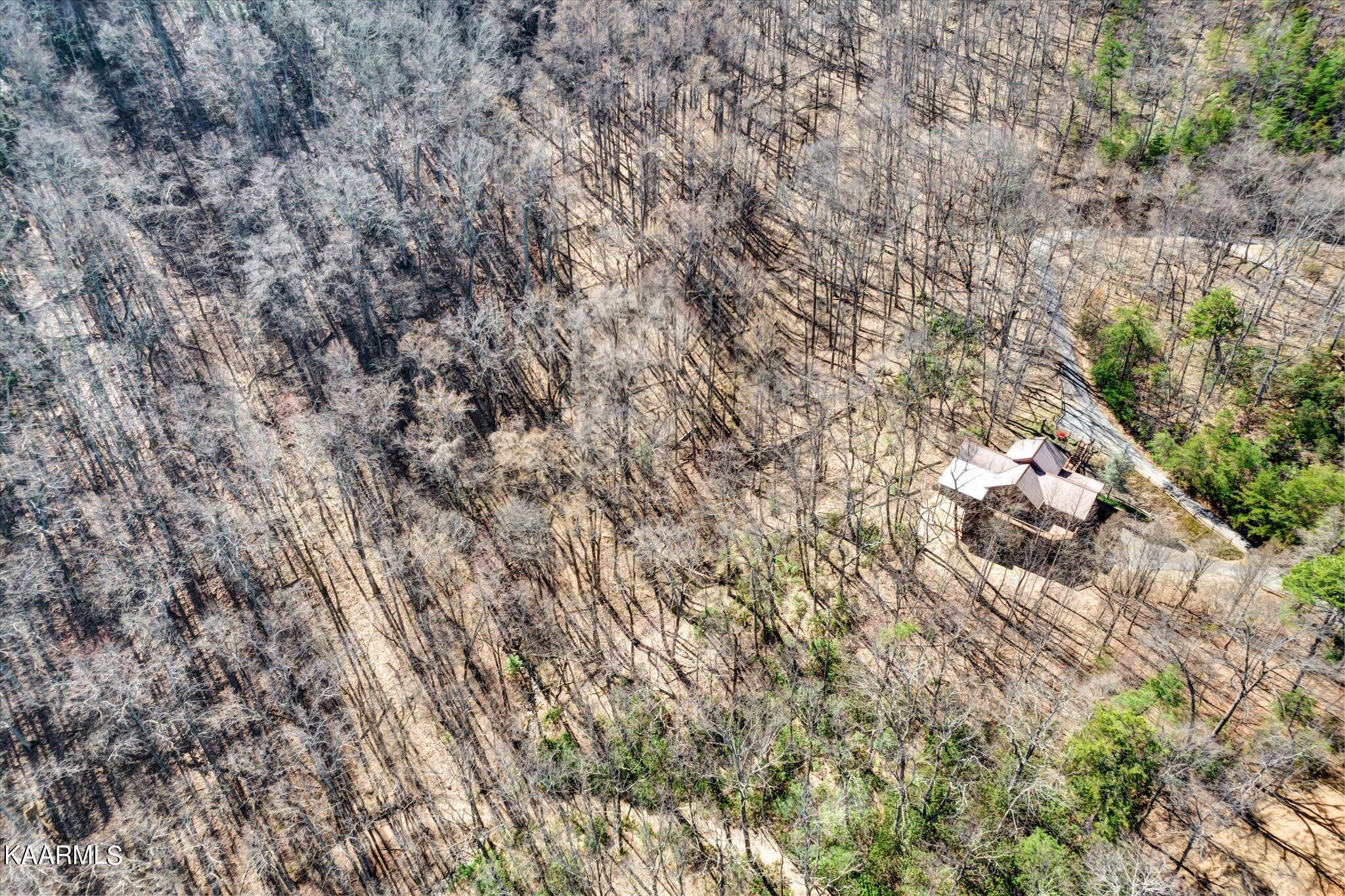 Lot 2 Brooke Hollow Road Sevierville, TN 37862 - Photo 10 of 14 10-DJI_0011