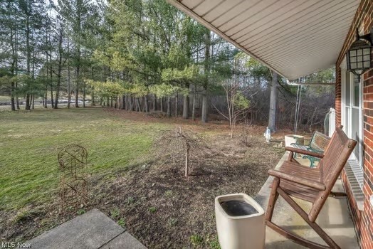12200 Chamberlain Road Aurora, OH 44202 - Photo 4 of 33 View of yard